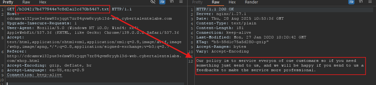 This message was printed on the root domain too