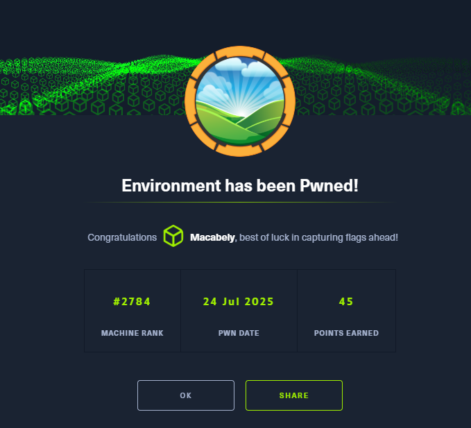 HTB Environment Machine (Medium)